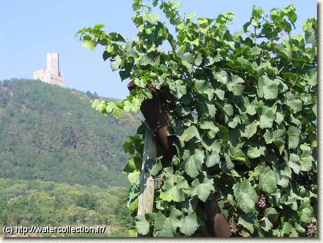 Diapositive suivante